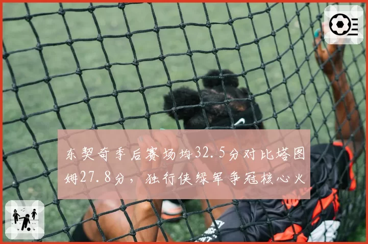 东契奇季后赛场均32.5分对比塔图姆27.8分，独行侠绿军争冠核心火力差距明显