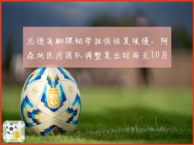 厄德高脚踝韧带扭伤恢复缓慢，阿森纳医疗团队调整复出时间至10月